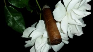 Blind Cigar Review: CLE | Signature Series PLdM