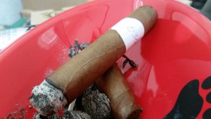 Blind Cigar Review: Felipe Gregorio | Pelo de Oro Robusto Gordo