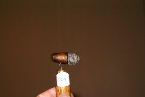 Blind Cigar Review: Montecristo (Cuba) | Petit No. 2