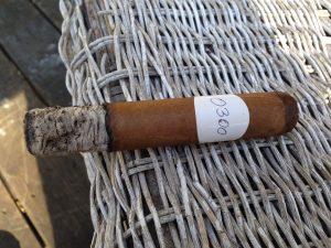 Blind Cigar Review: Felipe Gregorio | Pelo de Oro Robusto Gordo