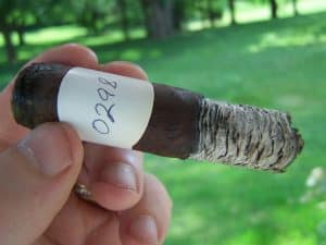 Blind Cigar Review: Maya Selva | Flor de Selva Maduro Robusto