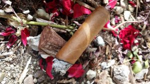 Blind Cigar Review: Atabey | Divinos