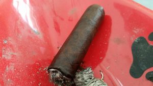 Blind Cigar Review: Maya Selva | Flor de Selva Maduro Robusto