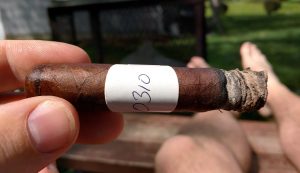 Blind Cigar Review: Crux | Passport Half Corona