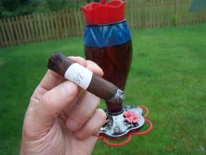 Blind Cigar Review: Epicurean | Carnavale Petite Corona