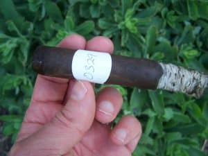 Blind Cigar Review: Eiroa | CBT Maduro Robusto
