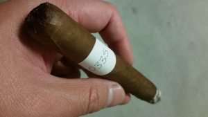 Blind Cigar Review: Nomad | Esteli Lot 8613 Toro