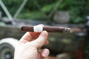 Blind Cigar Review: Epicurean | Carnavale Petite Corona