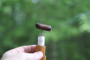 Blind Cigar Review: Epicurean | Carnavale Petite Corona