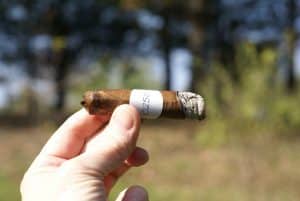 Blind Cigar Review - Revisited: Leccia | White 552