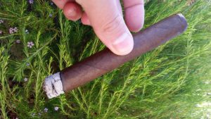 Blind Cigar Review: L'Atelier | Côte d'Or