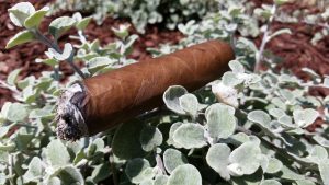 Blind Cigar Review: Room101 | El Mas Chingon No. 3