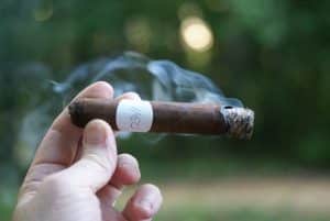 Blind Cigar Review: Punch | Signature Robusto