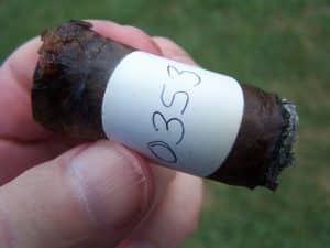 Blind Cigar Review: Fratello | Bianco II