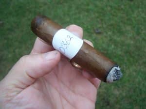 Blind Cigar Review: Ezra Zion | All My Exes Robusto