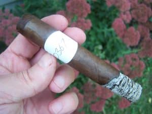 Blind Cigar Review: ACME | Premier San Andreas Robusto