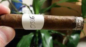 Blind Cigar Review: Warped | El Oso Cub