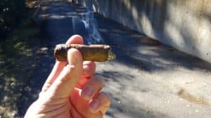 Blind Cigar Review: Cohiba | Luxury Selection LS No. 2