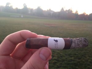 Blind Cigar Review: Warped | El Oso Cub