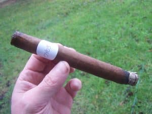 Blind Cigar Review: Falto | 20th Anniversary Los Procesos
