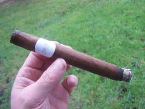 Blind Cigar Review: Falto | 20th Anniversary Los Procesos